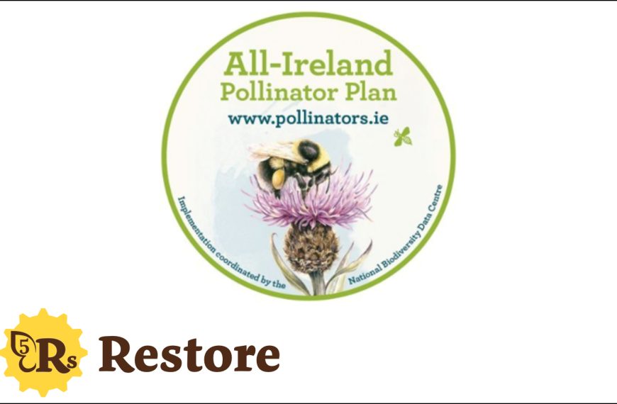 All-Ireland Pollinator Plan (framework)